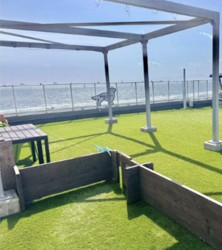 江ノ島の海岸が見えるドッグラン