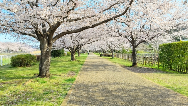 引地川親水公園