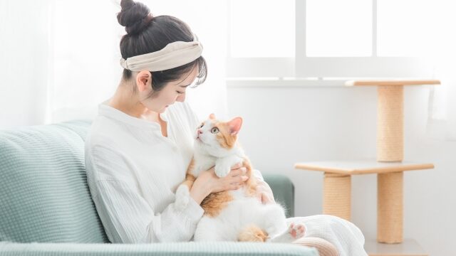 猫と女性