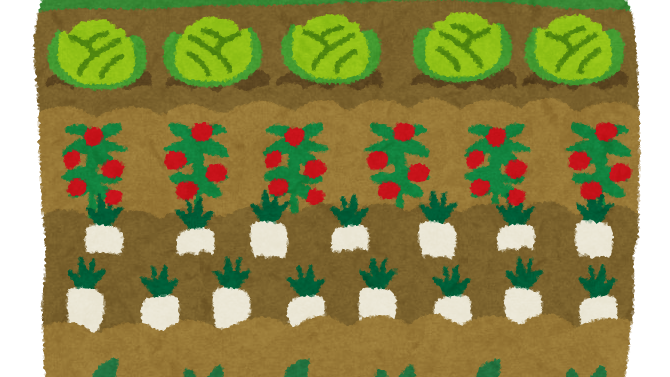 野菜畑のイラスト