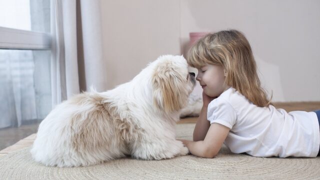 女の子と犬